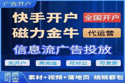 电商SEM推广案例解析